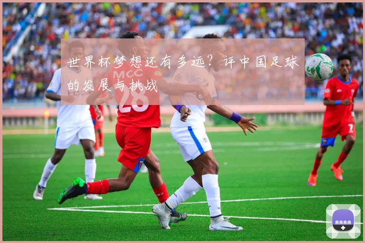 世界杯梦想还有多远？评中国足球的发展与挑战