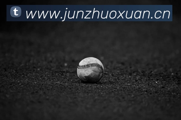 爱游戏ayx官方登录入口 - 爱游戏(中国)服务体系